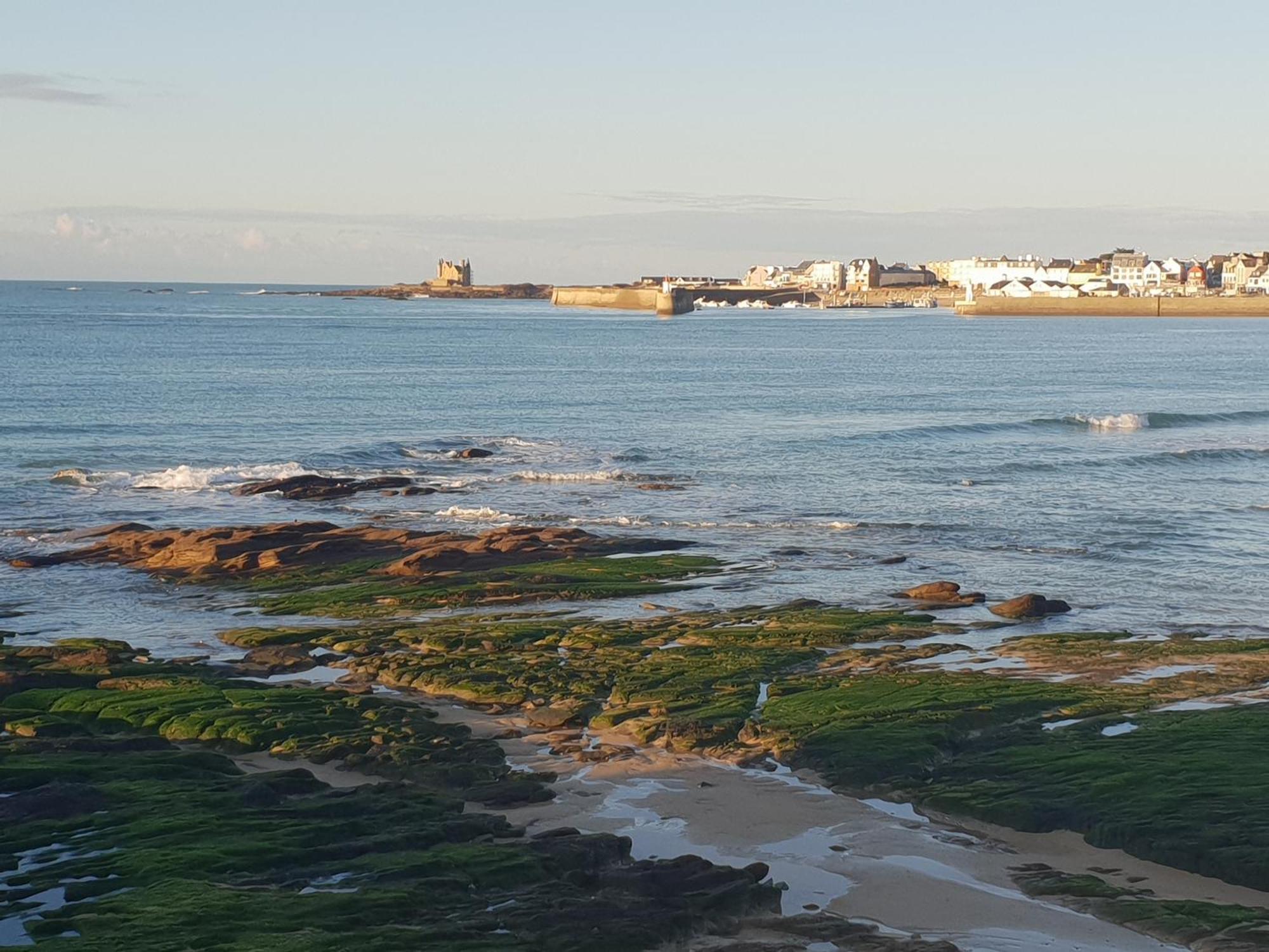 Appartement Cocon A Quiberon Dans Residence Calme, Plages Et Centre Ville A Pied Ou A Velo Pour 2 A 4 Personnes Eksteriør billede