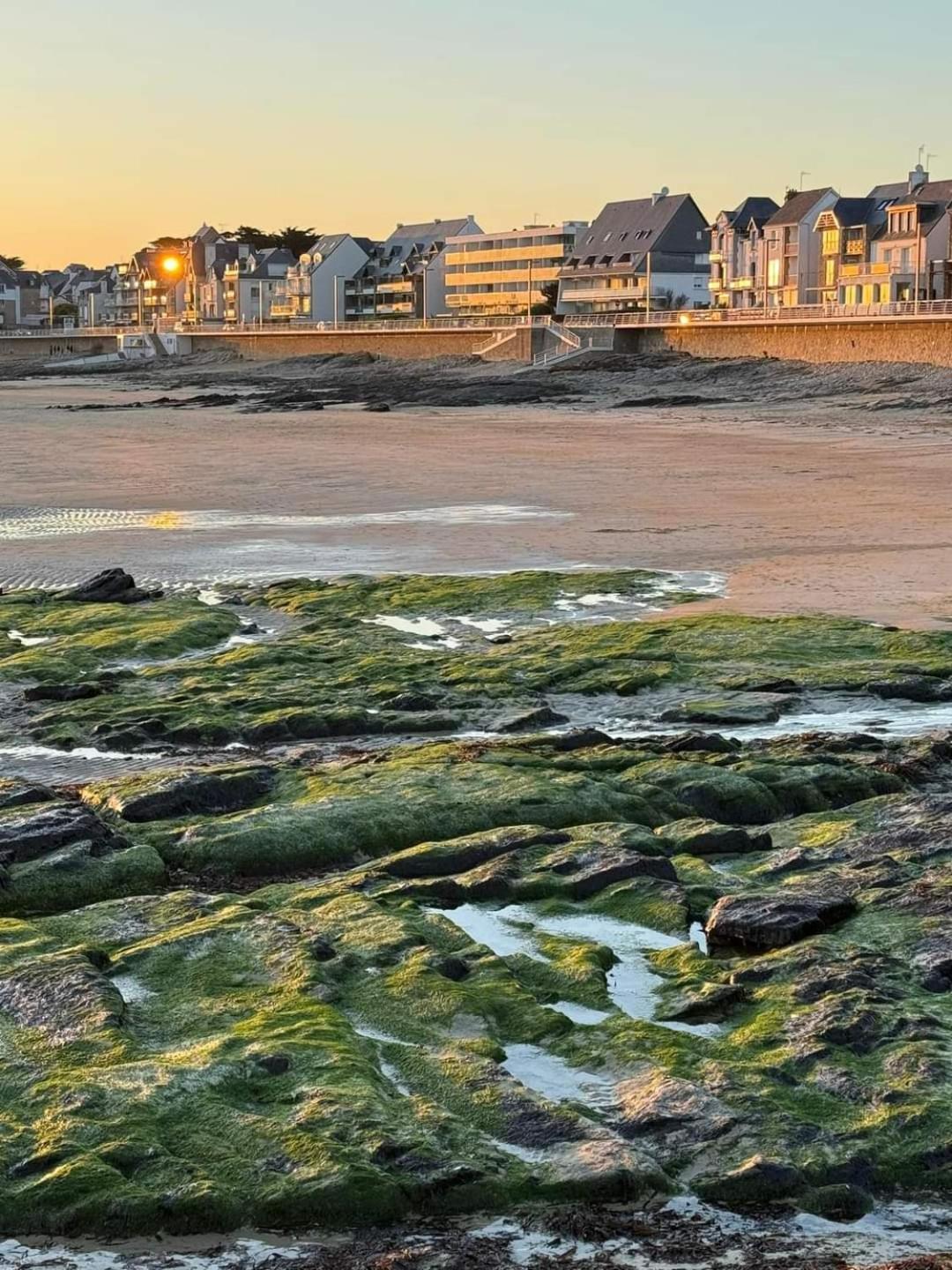 Appartement Cocon A Quiberon Dans Residence Calme, Plages Et Centre Ville A Pied Ou A Velo Pour 2 A 4 Personnes Eksteriør billede